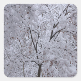 Adesivo Quadrado Árvores em Carga de Neve
