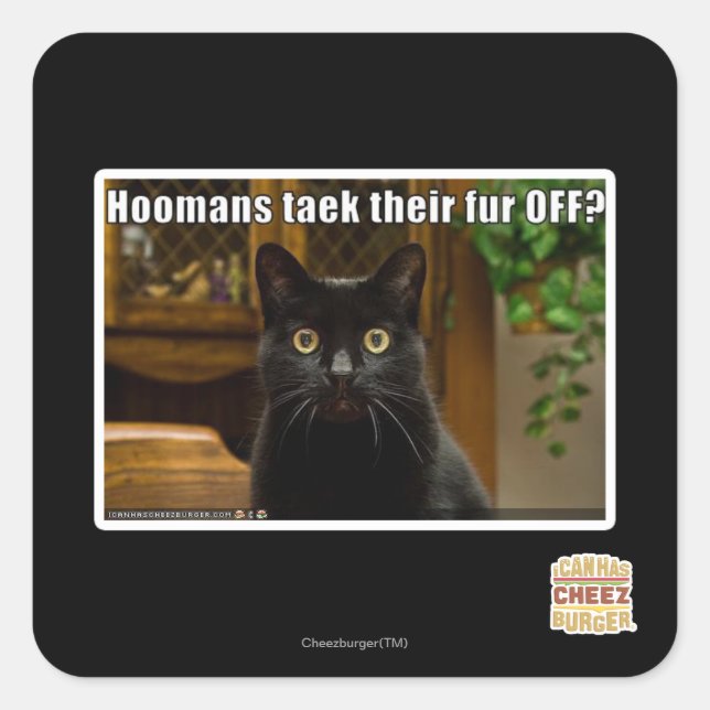 Adesivo Quadrado As mulheres pegam pelo lá fora? (Frente)