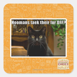 Adesivo Quadrado As mulheres pegam pelo lá fora?