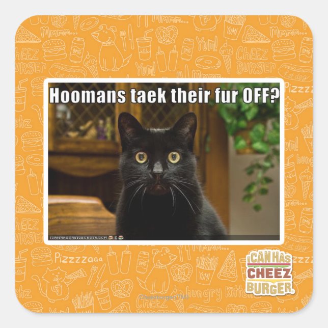 Adesivo Quadrado As mulheres pegam pelo lá fora? (Frente)