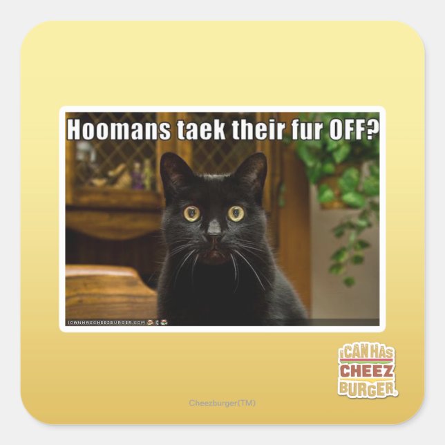 Adesivo Quadrado As mulheres pegam pelo lá fora? (Frente)