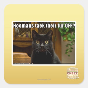 Adesivo Quadrado As mulheres pegam pelo lá fora?