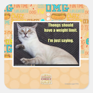 Adesivo Quadrado As tangas devem ter um limite do peso