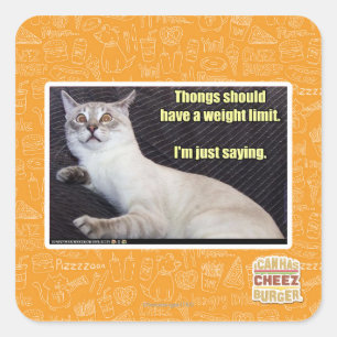 Adesivo Quadrado As tangas devem ter um limite do peso