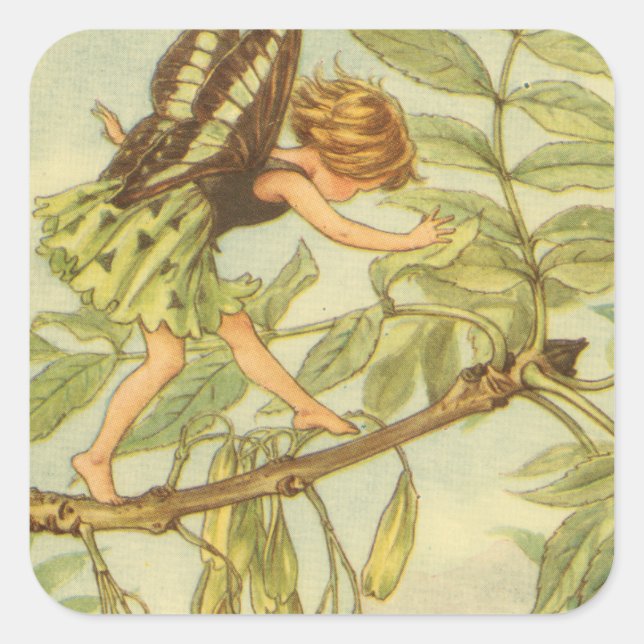 Adesivo Quadrado Ash Tree Fairy Walking on Branch (Frente)