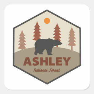 Adesivo Quadrado Ashley National Forest Bear