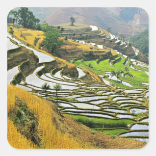 Adesivo Quadrado Ásia, China, Yunnan, Yuxi; Yuanjiang.