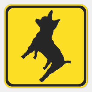 Adesivo Quadrado Atenção - Chihuahua à frente!