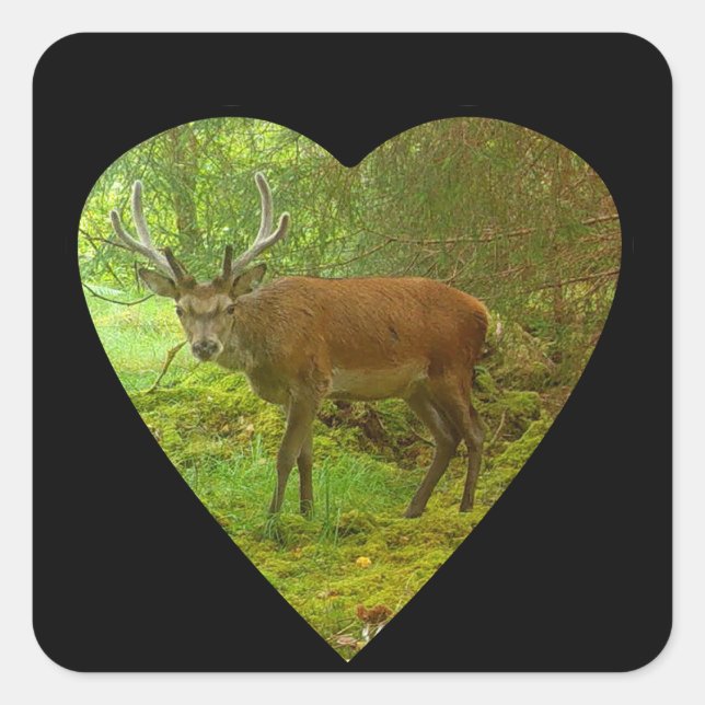 Adesivo Quadrado Aterro Vermelho Cauteloso (Frente)