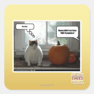 Adesivo Quadrado Ato legal