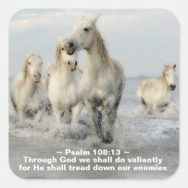 Adesivo Quadrado Através de Deus, faremos o Salmo Valiant 108:13