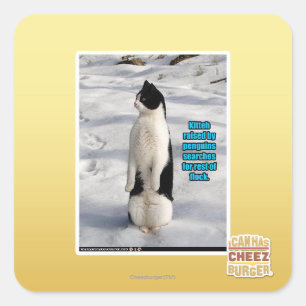 Adesivo Quadrado Aumentado por pinguins