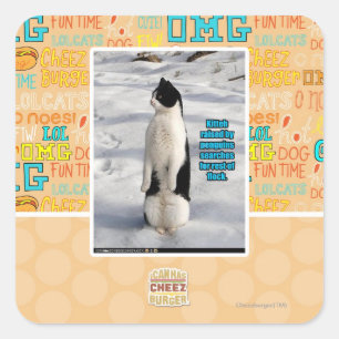 Adesivo Quadrado Aumentado por pinguins