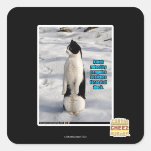 Adesivo Quadrado Aumentado por pinguins