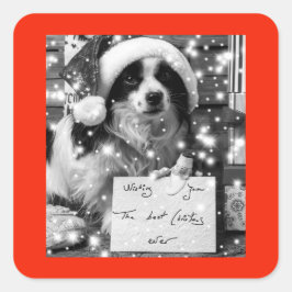 Adesivo Quadrado AUSTRALIANO SHEPARD SQUARE Sticker