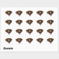 Autocolante De Cão Personalizado, Presentes De Cão