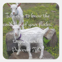 Autocolante de Escritura de Cabra