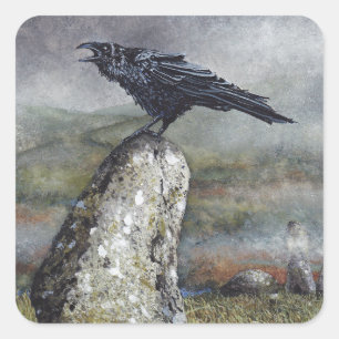 Adesivo Quadrado Autocolantes