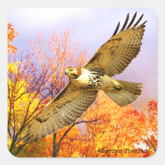 Adesivo Quadrado Autocolantes de "Alta Flyer"