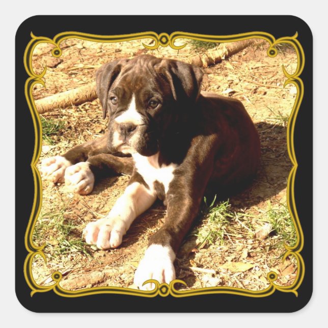 Adesivo Quadrado Autocolantes de cachorrinho (Frente)