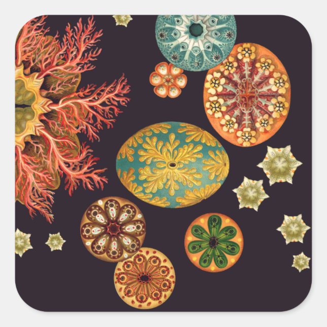 Adesivo Quadrado Autocolantes de Escamas-do-mar (Frente)