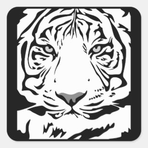 Adesivo Quadrado autocolantes do tigre