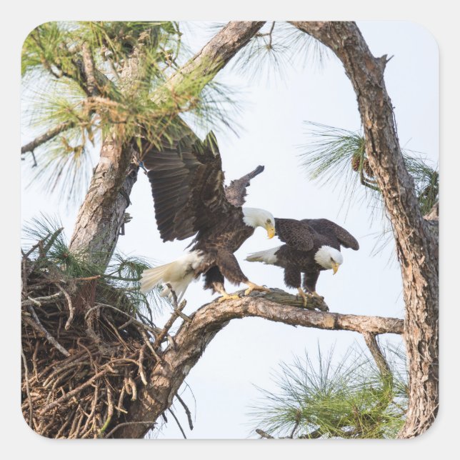 Adesivo Quadrado Autocolantes H & M (Frente)