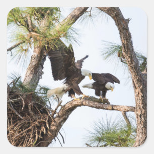 Adesivo Quadrado Autocolantes H & M