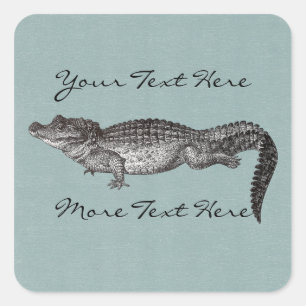 Adesivo Quadrado Autocolantes quadrados crocodilo