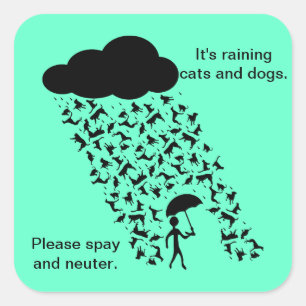 Adesivo Quadrado Autocolantes "Spay and Neuter"