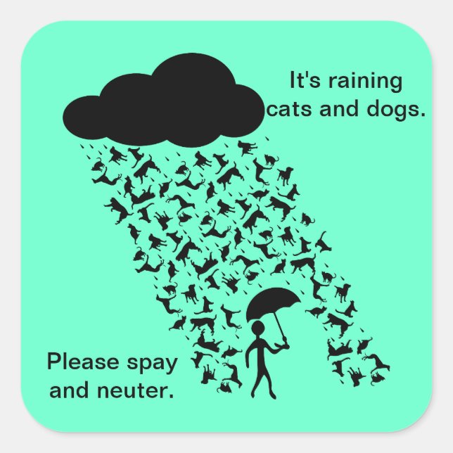 Adesivo Quadrado Autocolantes "Spay and Neuter" (Frente)