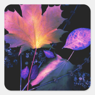 Adesivo Quadrado Autumn Leaves em Neon