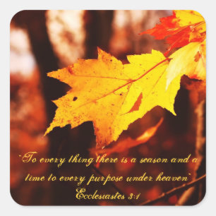 Adesivo Quadrado Autumn Leaves nos Poconos Stickers