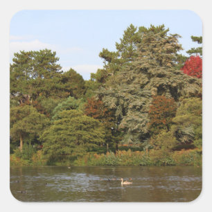 Adesivo Quadrado Autumn, Roath Park Lake, Cardiff