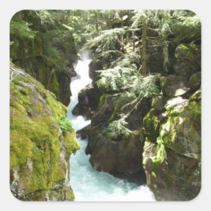 Adesivo Quadrado Avalanche Gorge II no Parque Nacional Glacier