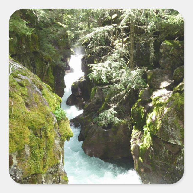 Adesivo Quadrado Avalanche Gorge II no Parque Nacional Glacier (Frente)