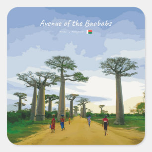 Adesivo Quadrado Avenida dos Baobás, Madagascar - Paisagem