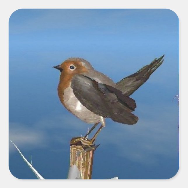 ADESIVO QUADRADO AVES HÍPICAS/MAMA VERMELHA DE ROBINA (Frente)