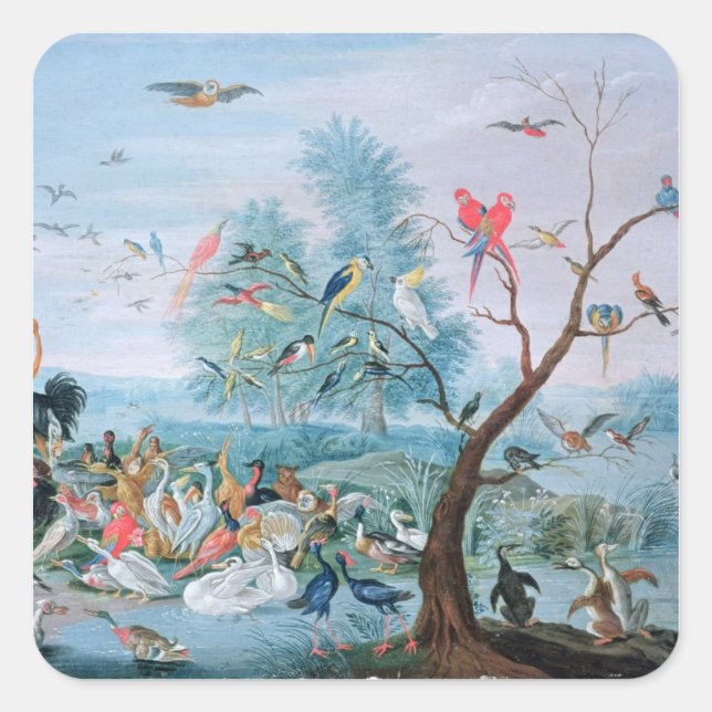 Adesivo Quadrado Aves tropicais em paisagem (Frente)
