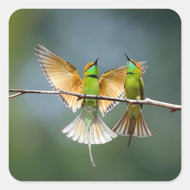 Adesivo Quadrado Aves Verdes Congeladas na Fotografia das Árvores (Frente)