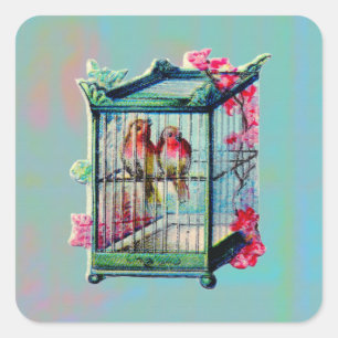 Adesivo Quadrado Aves Vintage e Gaiolas para Aves
