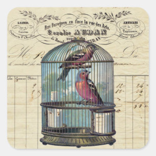 Adesivo Quadrado Aves Vitorianas Vitorianas Vitorianas Vintage, Fra