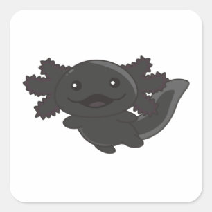 Adesivo Quadrado Axolotl Diferentes Tipos De Axolotls Animais De Co