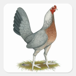 Adesivo Quadrado Azul Hen Silver, jogo americano