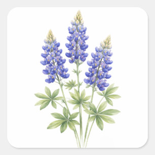 Adesivo Quadrado Azulboninas Flores Estaduais do Texas Lupino Aquar