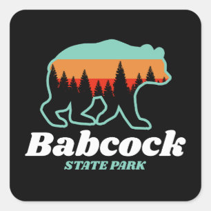 Adesivo Quadrado Babcock State Park West Virginia Bear Retro
