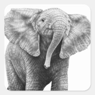 Adesivo Quadrado Baby African Elephant Sticker
