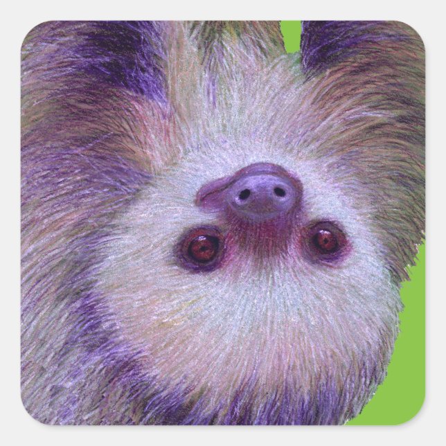 Adesivo Quadrado Baby Sloth (Frente)
