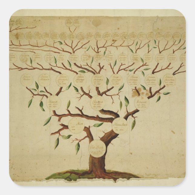Adesivo Quadrado Bach Family Tree, c.1750-1770 (Frente)