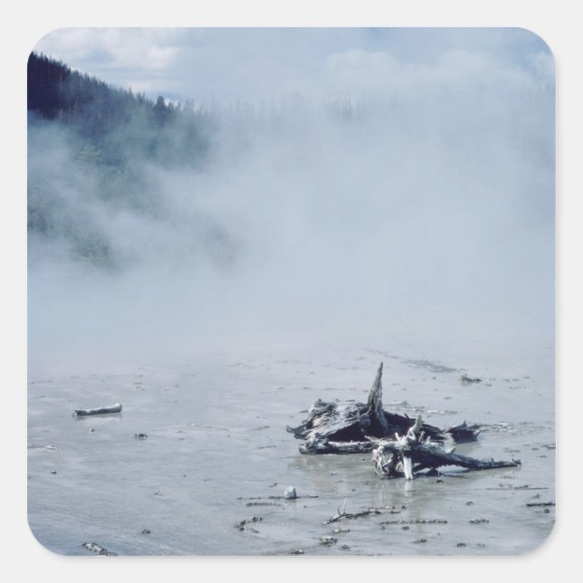 Adesivo Quadrado Bacia Norris Geyser no Parque Nacional de Yellowst (Frente)